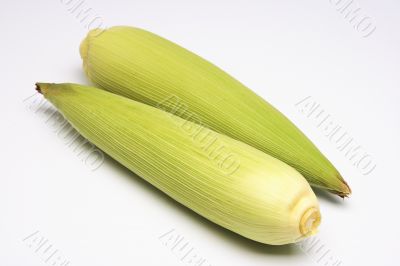 Two corns on the cobs