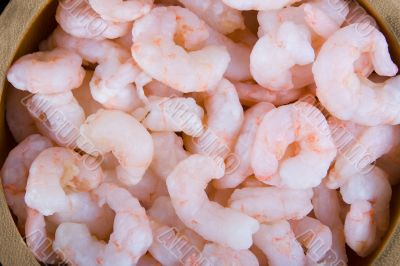 Shrimps close-up