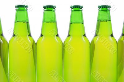 bottles of beer isolated