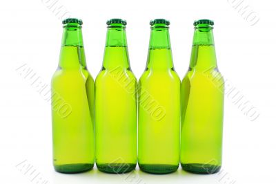 bottles of beer isolated