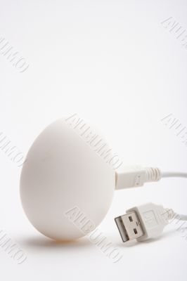 USB eggs
