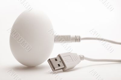 USB eggs 2