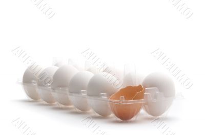 Cracked Egg 4