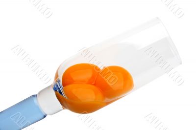 Champagne glass and eggs 2