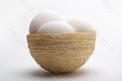 Eggs on nest 4