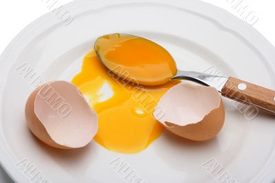 Cracked Egg 3