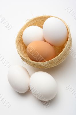 Eggs on nest 2