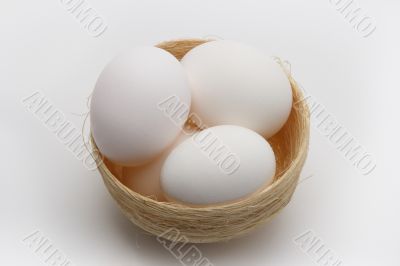Eggs on nest 3