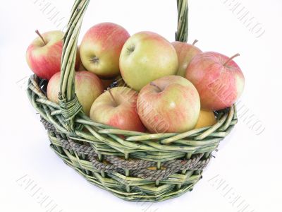 apples