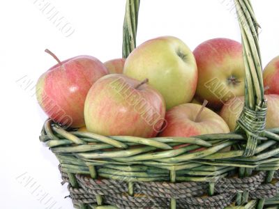 apples
