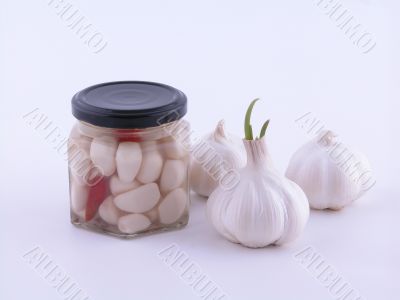 garlic