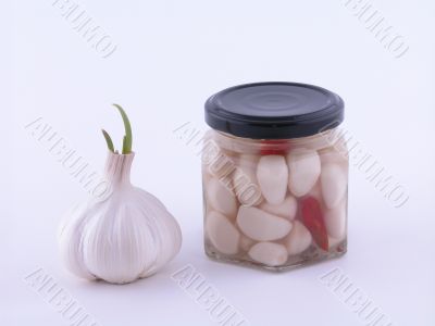 garlic