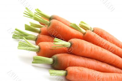 fresh carrots