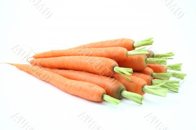 fresh carrots