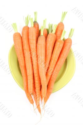 fresh carrots