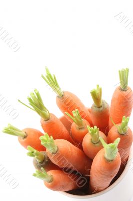 fresh carrots