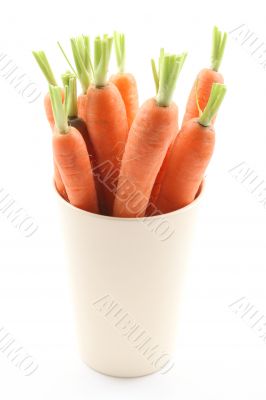 fresh carrots
