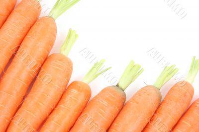 fresh carrots