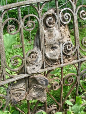 Tree and Metal Ancient Interlacing
