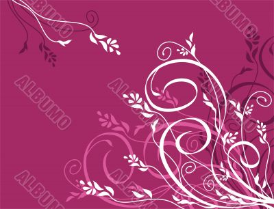 vector floral background