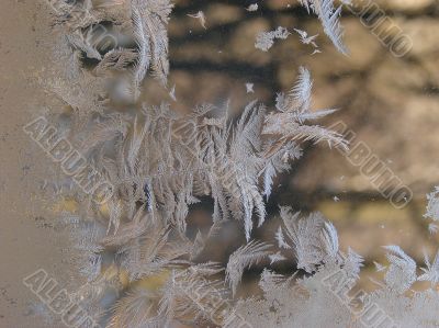 Hoarfrost on window glass in frosty weather