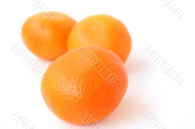 mandarines