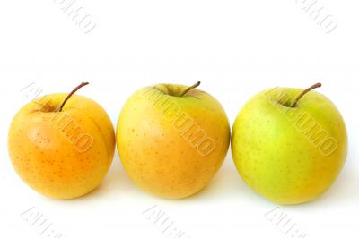 Three apples
