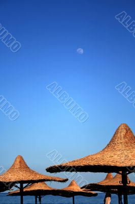  Beach Umbrellas