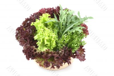 lettuce