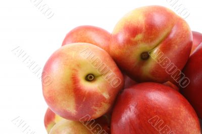 nectarines