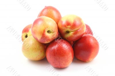 nectarines