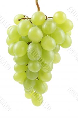 green grapes