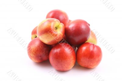nectarines