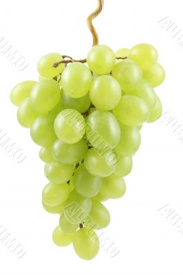 green grapes