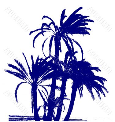 palms group / vector