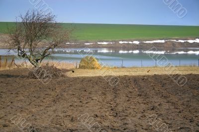 Rural spring landscape