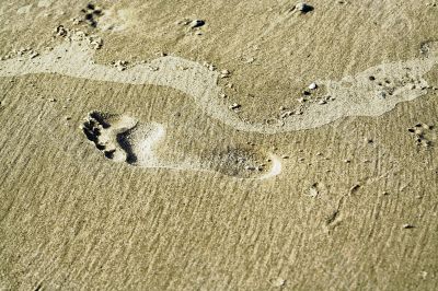 Footprint background