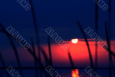 The sun and water