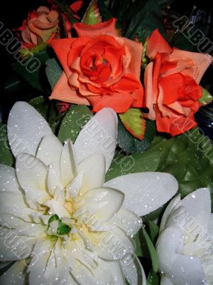 Lilies and roses in dew