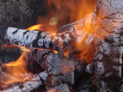 Flaming wooden coal logs of camping fireplace