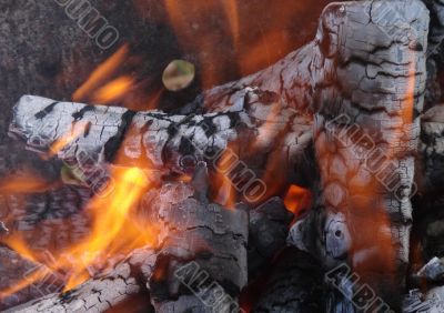 Flaming wooden coal logs of camping fireplace