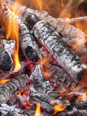 Flaming wooden coal logs of camping fireplace
