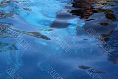 Reflections on water 2