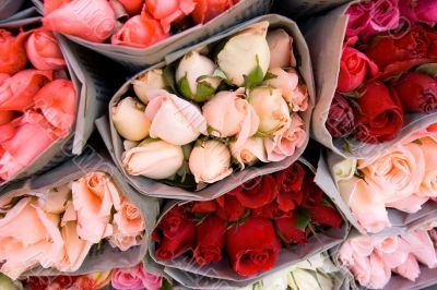 Bunch of roses 4