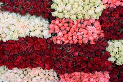 Bunch of roses