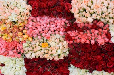 Bunch of roses 2