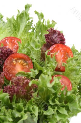 lettuce and tomatoes