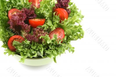 lettuce and tomatoes