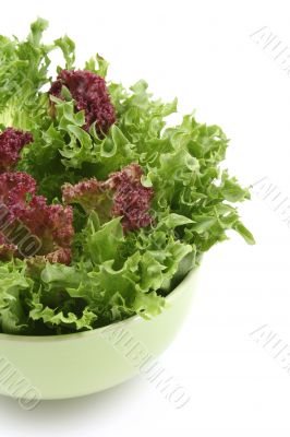 lettuce