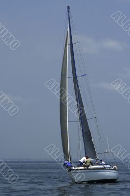 Regatta